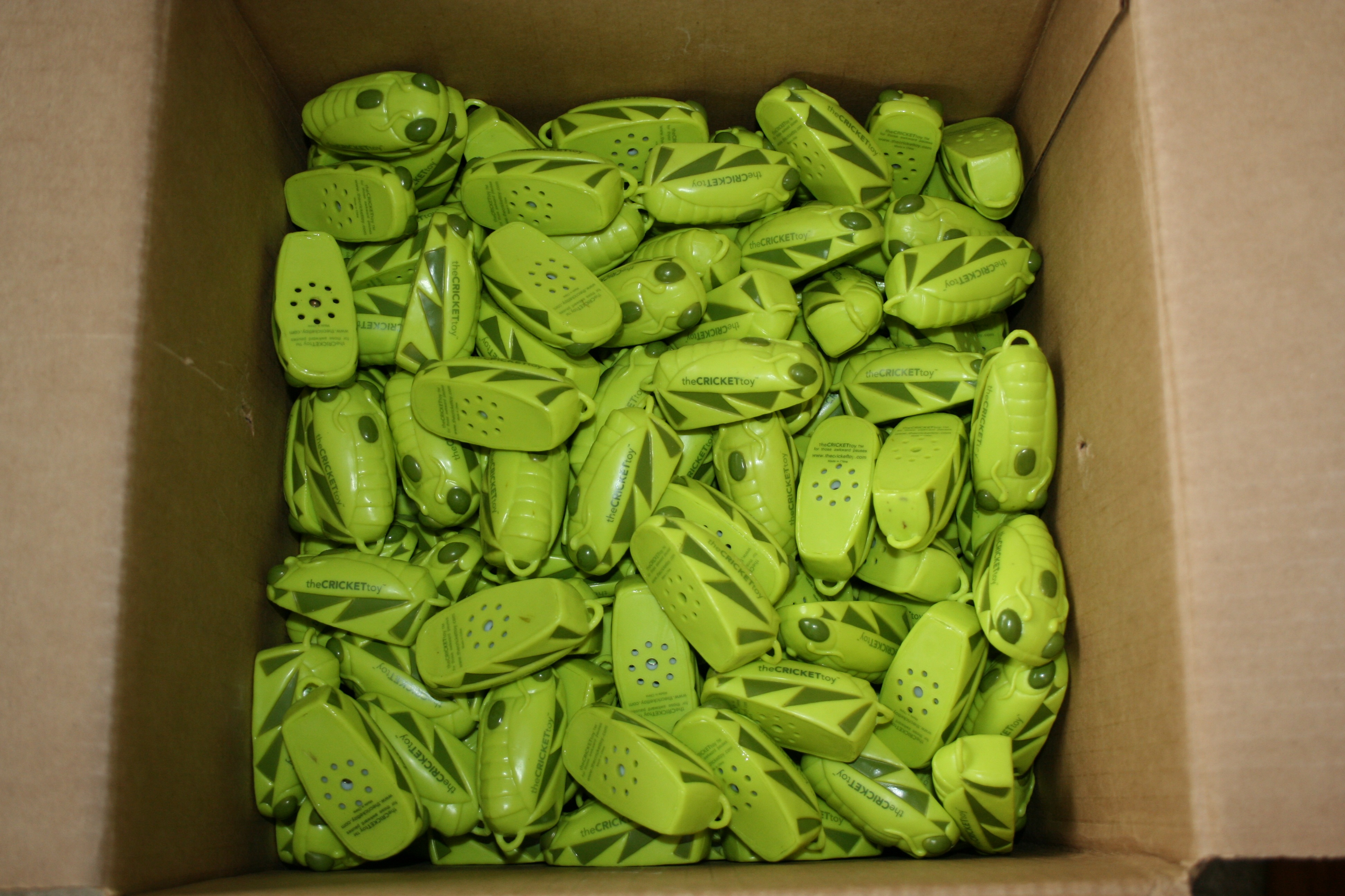 Box of Bugs!